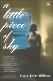 A Little Piece of Sky: A Novel, Williams, Nicole Bailey
