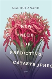 A New Index for Predicting Catastrophes, Anand, Madhur