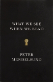 What We See When We Read, Mendelsund, Peter