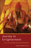 Journey to Enlightenment: The Life of Dilgo Khyentse Rinpoche, Ricard, Matthieu