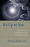 It's Up to You: The Practice of Self-Reflection on the Buddhist Path, Berliner, Helen & Kongtrul, Dzigar