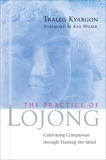 The Practice of Lojong: Cultivating Compassion through Training the Mind, Kyabgon, Traleg