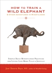 How to Train a Wild Elephant: And Other Adventures in Mindfulness, Bays, Jan Chozen