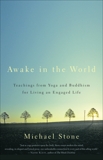 Awake in the World: Teachings from Yoga and Buddhism for Living an Engaged Life, Stone, Michael