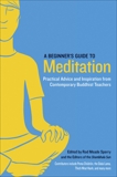A Beginner's Guide to Meditation: Practical Advice and Inspiration from Contemporary Buddhist Teachers, 