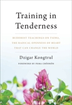 Training in Tenderness: Buddhist Teachings on Tsewa, the Radical Openness of Heart That Can Change the  World, Kongtrul, Dzigar