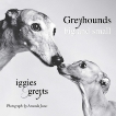 Greyhounds Big and Small: Iggies and Greyts, Jones, Amanda