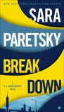 Breakdown, Paretsky, Sara