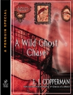 A Wild Ghost Chase, Copperman, E.J.