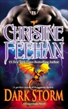 Dark Storm, Feehan, Christine