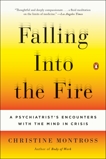 Falling Into the Fire: A Psychiatrist's Encounters with the Mind in Crisis, Montross, Christine