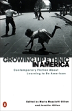 Growing Up Ethnic in America: Contemporary Fiction About Learning to Be American, Gillan, Maria Mazziotti & Gillan, Jennifer