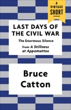 Last Days of the Civil War: The Enormous Silence, Catton, Bruce