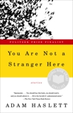 You Are Not a Stranger Here: Stories, Haslett, Adam