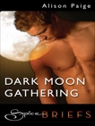 Dark Moon Gathering, Paige, Alison