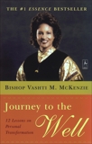 Journey to the Well, McKenzie, Vashti M.