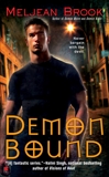 Demon Bound, Brook, Meljean