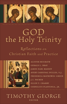 God the Holy Trinity (Beeson Divinity Studies): Reflections on Christian Faith and Practice, 