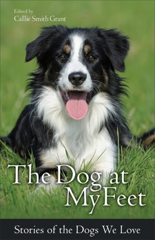 The Dog at My Feet: Stories of the Dogs We Love, 