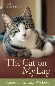 The Cat on My Lap: Stories of the Cats We Love, 