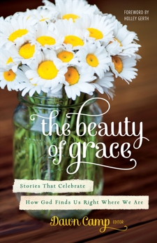 The Beauty of Grace: Stories of God's Love from Today's Most Popular Writers, 