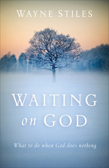Waiting on God: What to Do When God Does Nothing, Stiles, Wayne