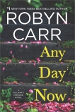Any Day Now: A Novel, Carr, Robyn