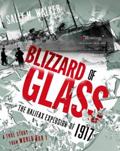 Blizzard of Glass, Walker, Sally M.