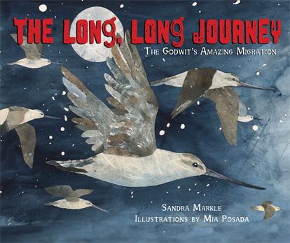The Long, Long Journey: The Godwit’s Amazing Migration, Markle, Sandra