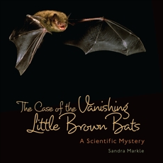 The Case of the Vanishing Little Brown Bats: A Scientific Mystery, Markle, Sandra