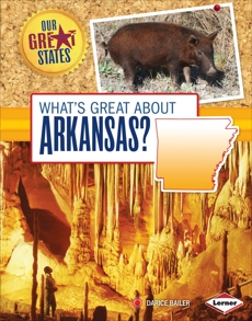 What's Great about Arkansas?, Bailer, Darice