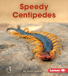 Speedy Centipedes, Nelson, Robin