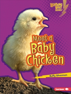 Meet a Baby Chicken, Silverman, Buffy