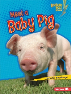 Meet a Baby Pig, Boothroyd, Jennifer