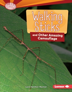 Walking Sticks and Other Amazing Camouflage, Waxman, Laura Hamilton