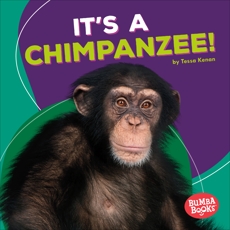 It's a Chimpanzee!, Kenan, Tessa