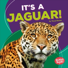 It's a Jaguar!, Kenan, Tessa