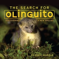 The Search for Olinguito: Discovering a New Species, Markle, Sandra