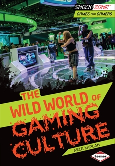 The Wild World of Gaming Culture, Kaplan, Arie