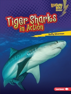 Tiger Sharks in Action, Silverman, Buffy