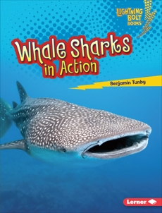Whale Sharks in Action, Tunby, Benjamin