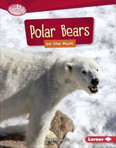 Polar Bears on the Hunt, Marquardt, Meg