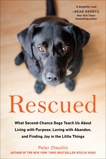 Rescued: What Second-Chance Dogs Teach Us About Living with Purpose, Loving with Abandon, and Finding Joy in the Little Things, Zheutlin, Peter