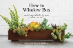 How to Window Box: Small-Space Plants to Grow Indoors or Out, Gordon, Chantal Aida & Benoit, Ryan