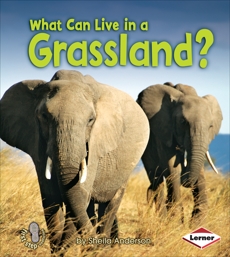 What Can Live in a Grassland?, Anderson, Sheila