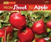 From Shoot to Apple, Taus-Bolstad, Stacy