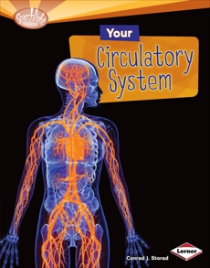 Your Circulatory System, Storad, Conrad J.