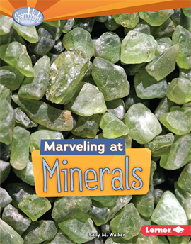 Marveling at Minerals, Walker, Sally M.