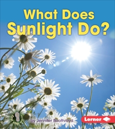 What Does Sunlight Do?, Boothroyd, Jennifer