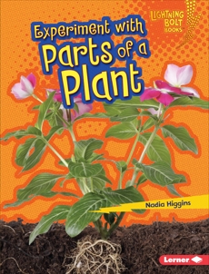 Experiment with Parts of a Plant, Higgins, Nadia